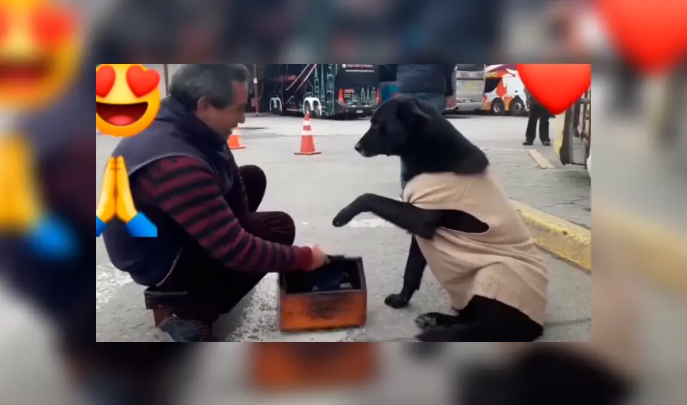 Video es viral en YouTube. El perro callejero no movía su patita de la caja de lustrar zapatos, no fue sino hasta que la limpiaron que la bajó y puso la otra. Foto: Captura. Video es viral en YouTube. El perro callejero no movía su patita de la caja de lustrar zapatos, no fue sino hasta que la limpiaron que la bajó y puso la otra. Foto: Captura.