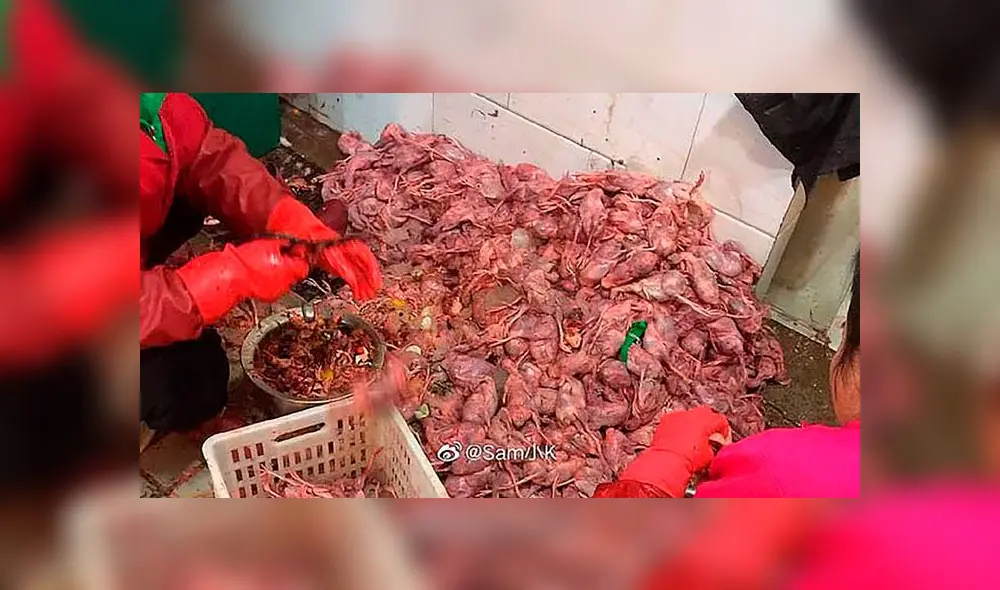 La carne de animales se oferta en el mercado de Wuhan, donde habría surgido el coronavirus. Foto: Difusión La carne de animales se oferta en el mercado de Wuhan, donde habría surgido el coronavirus. Foto: Difusión