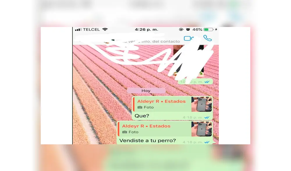 Joven es criticado por intercambiar a su mascota para conseguir un iPhone 11 [FOTOS]