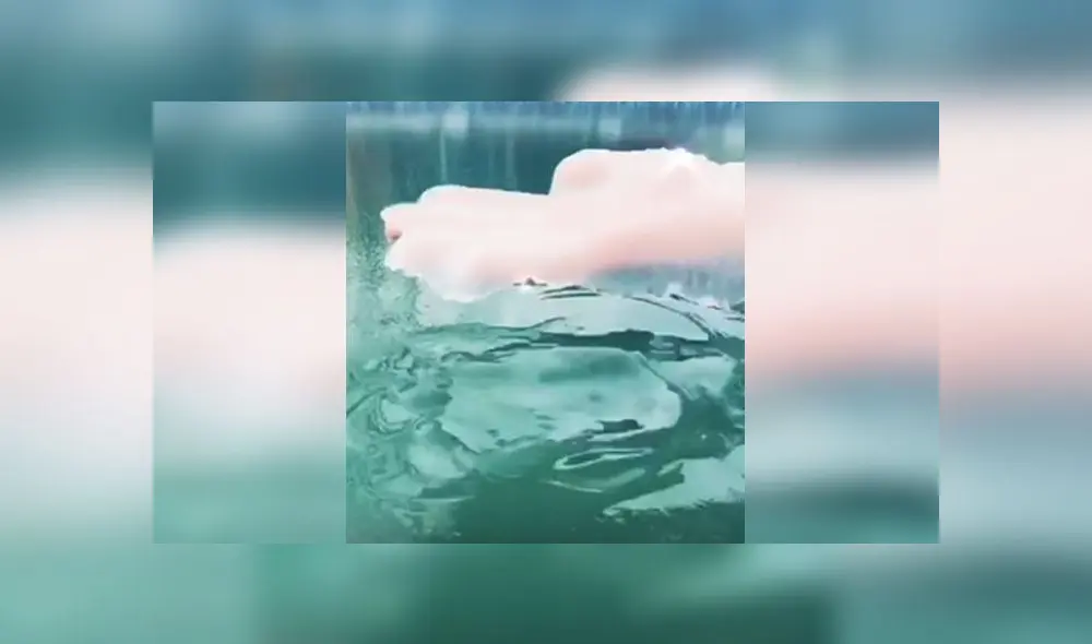 Desliza para conocer el fenómeno natural que se ha vuelto viral en redes. Foto: Captura. Desliza para conocer el fenómeno natural que se ha vuelto viral en redes. Foto: Captura.