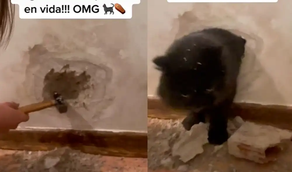 Este video cuenta con 541.000 'me gusta'. Foto: composición LR / TikTok / @elenamartinfernan