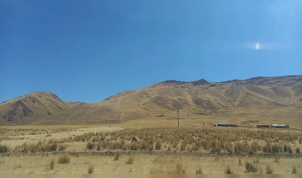 Sequia se vive en el altiplano puneño lo que preocupa a los comuneros. Foto: Dirección Regional de Agricultura