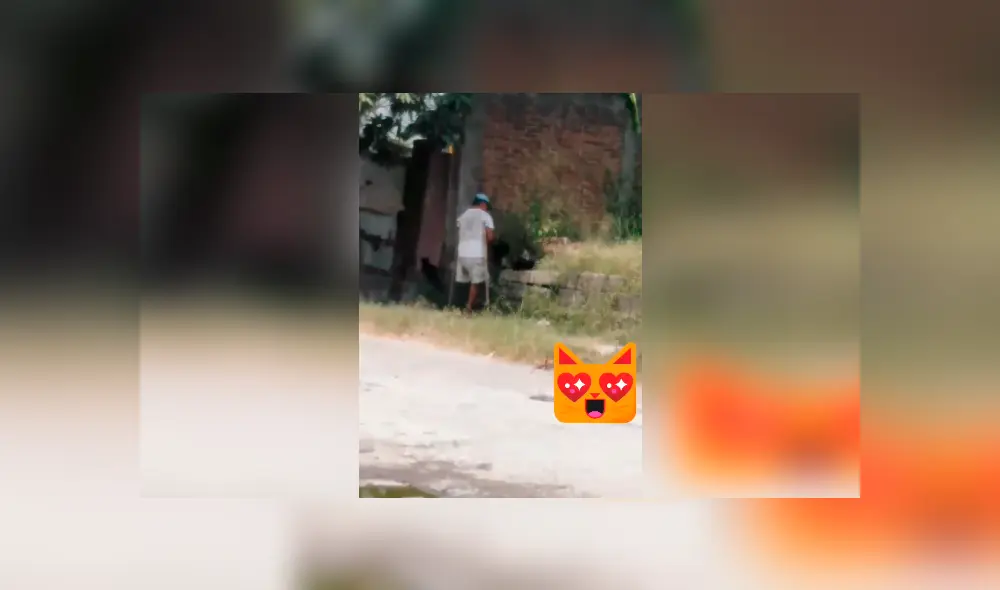 Desliza las imágenes para observar el noble gesto que tuvo un hombre al brindar alimentos a unos gatos. Foto: Captura.