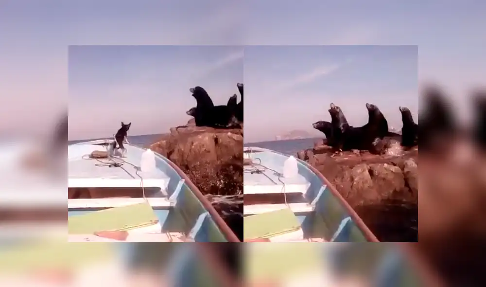 Desliza para ver los momentos más divertidos del video que se hizo viral en Facebook.