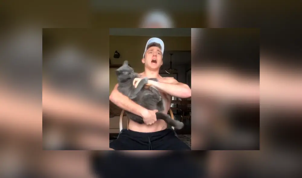 Desliza las imágenes hacia la izquierda para conocer la reacción de un travieso gato al escuchar el canto de su dueño.