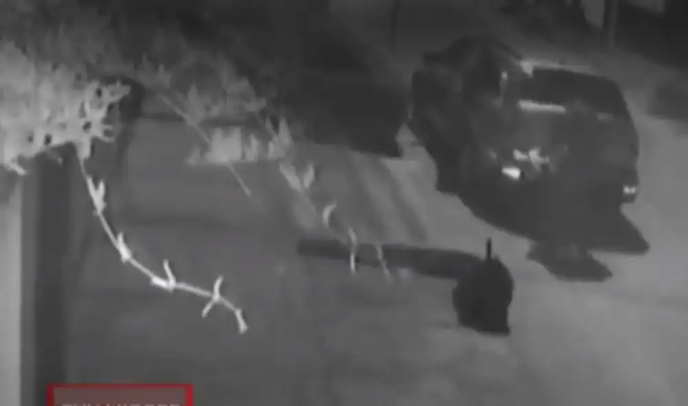 Hampones ingresaron al inmueble sin ser vistos por la PNP. Foto: captura de América