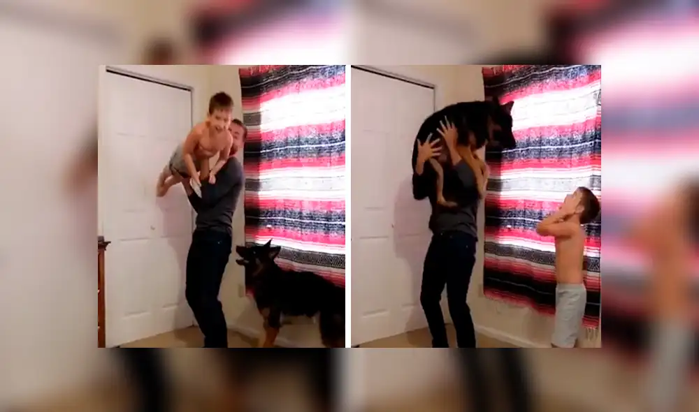 En Facebook, un perro quería unirse a la diversión de su dueño con su menor hijo para que lo carguen.