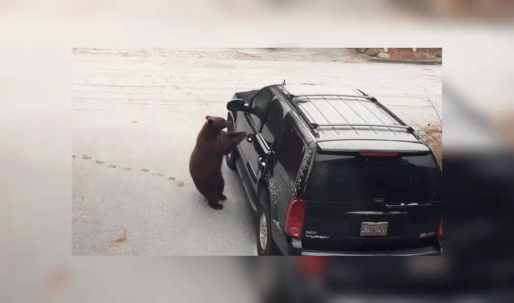 Desliza para ver los momentos más impactantes del video que se hizo viral en YouTube Desliza para ver los momentos más impactantes del video que se hizo viral en YouTube