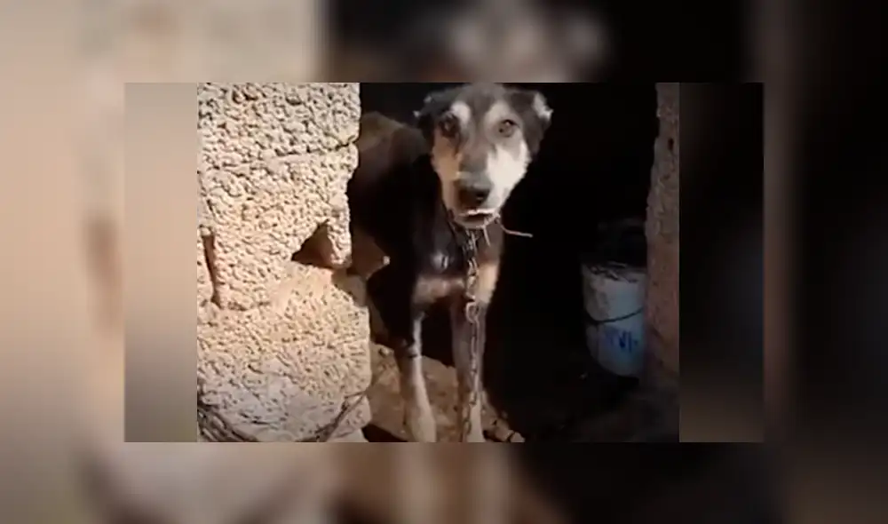 Desliza hacia la izquierda para ver las conmovedoras imágenes del viral de Facebook. Desliza hacia la izquierda para ver las conmovedoras imágenes del viral de Facebook.