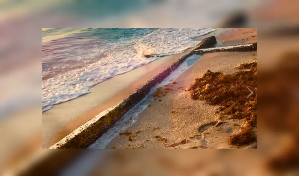 Facebook Viral: enorme cruz llega a playa de EE.UU. y miles piensan que es una señal divina [VIDEO]