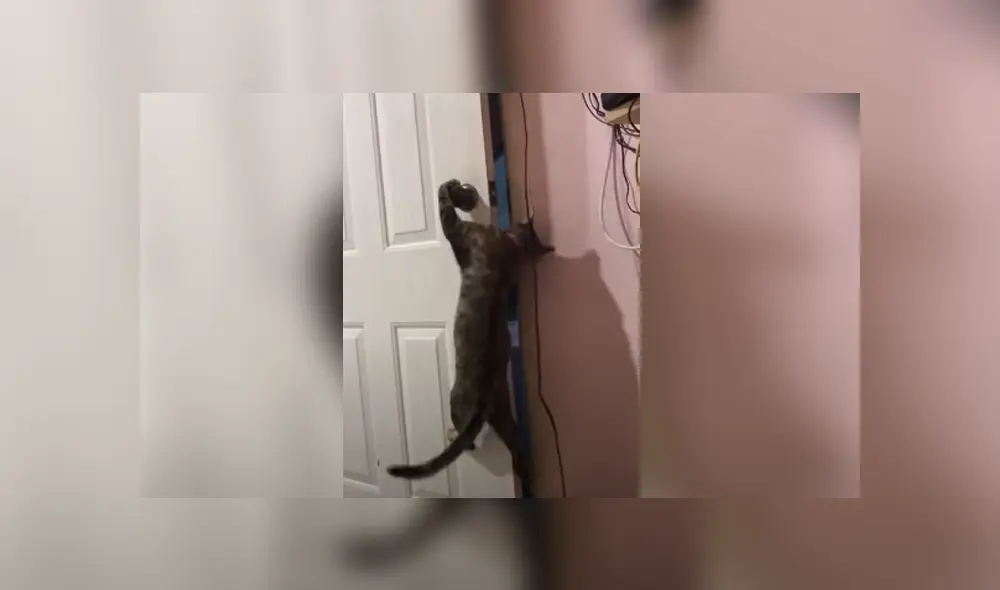 Desliza hacia la izquierda para ver las imágenes del viral de Facebook. Foto: Captura. Desliza hacia la izquierda para ver las imágenes del viral de Facebook. Foto: Captura.