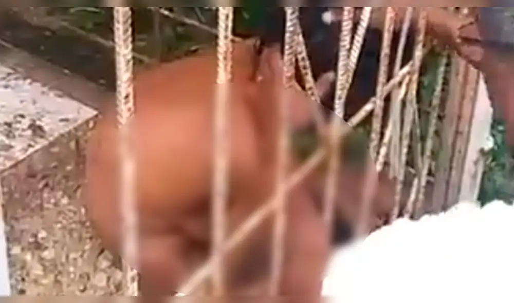 Vía Facebook: mujer esquizofrenica fue encerrada 15 años por ser "peligrosa" [VIDEO]