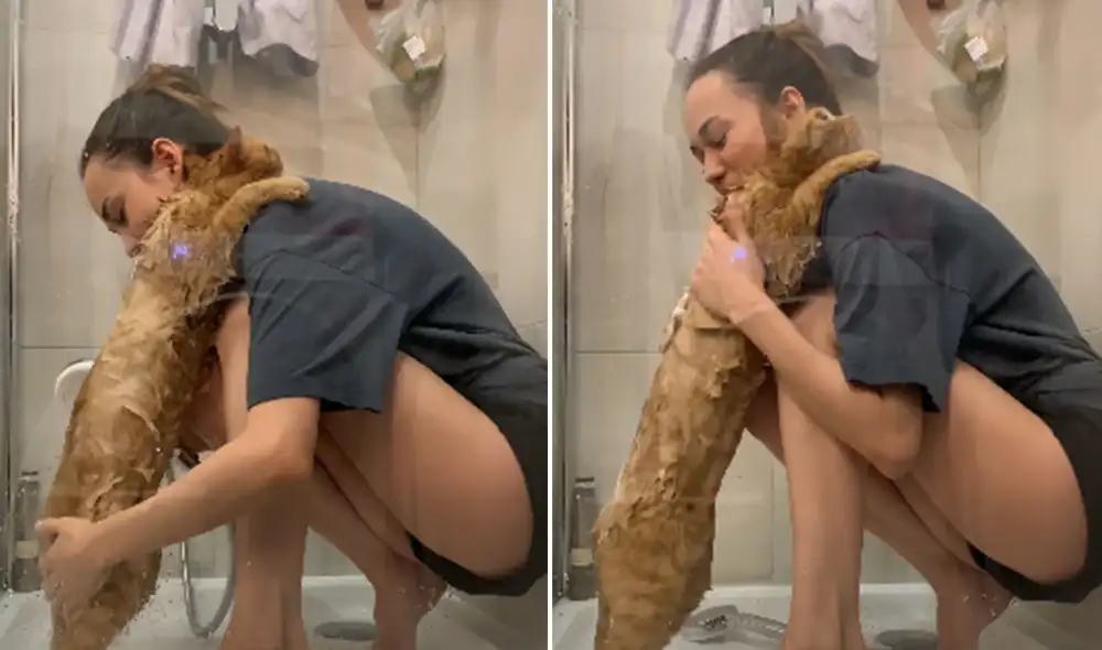 Desliza las imágenes para ver más detalles sobre esta curiosa escena que ha hecho reír a miles de usuarios. Foto: captura de YouTube