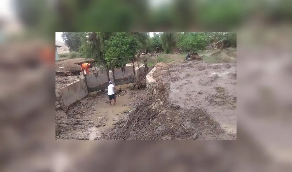 La Libertad: Niño costero afectó 10 mil hectáreas en el valle Chicama