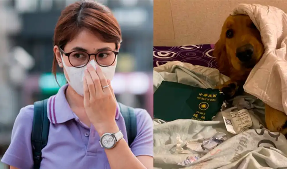 Las tiernas fotografías fueron compartidas en Facebook por la dueña del can. (Foto: Facebook)