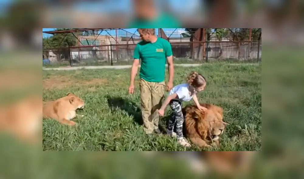 YouTube viral: Niña entra a calabozo de leones y la reacción de estos deja impactados a todos [VIDEO]