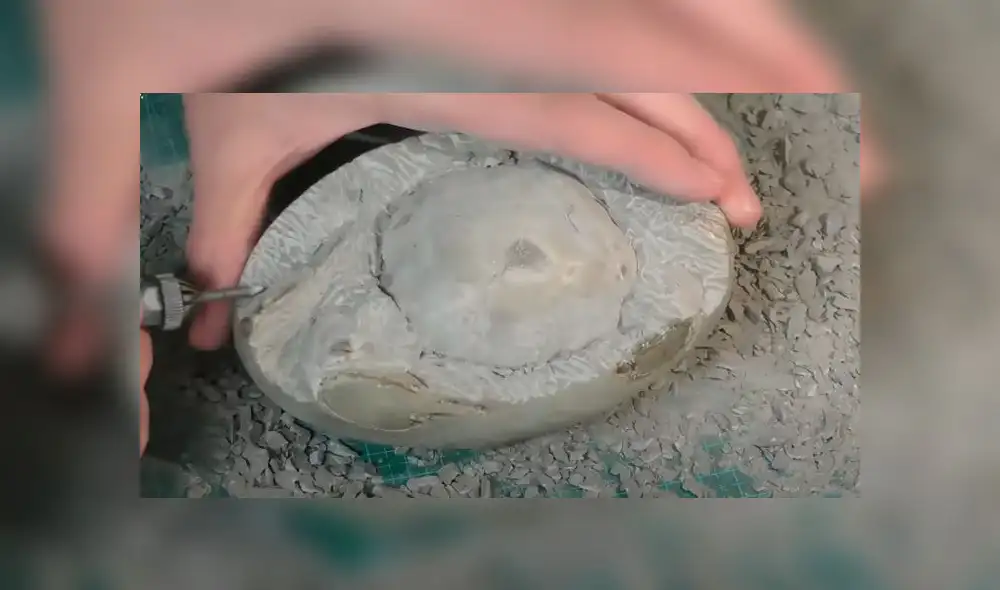 Desliza las imágenes para ver el increíble hallazgo que hizo un paleontólogo en el interior de una extraña roca. Foto: Newsflare Desliza las imágenes para ver el increíble hallazgo que hizo un paleontólogo en el interior de una extraña roca. Foto: Newsflare