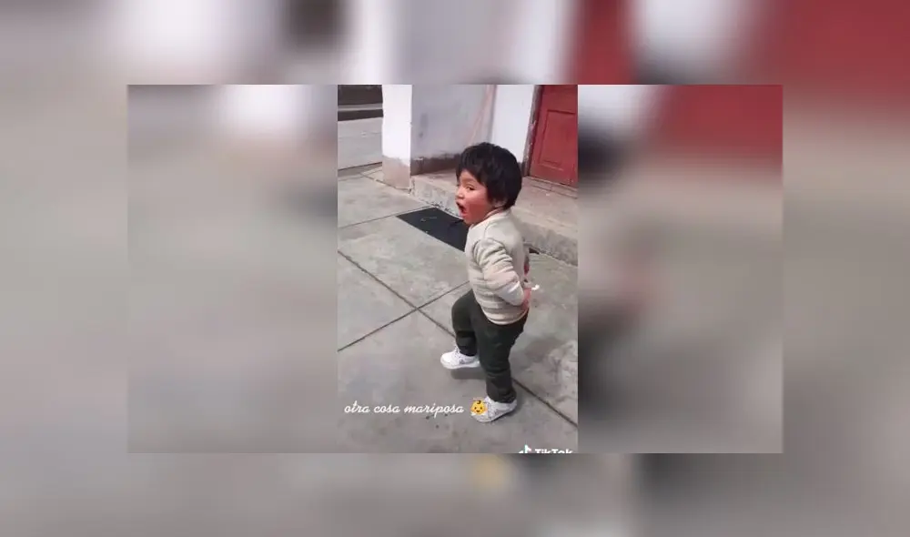 Desliza las para ver el divertido baile que protagonizó este menor al escuchar su huayno favorito. Foto: Captura.