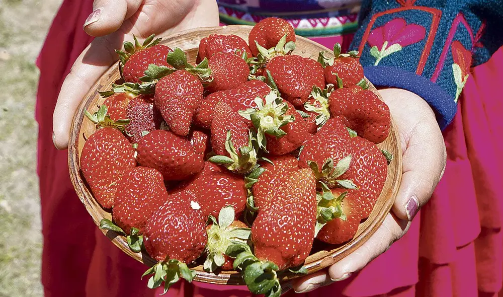 Fresas