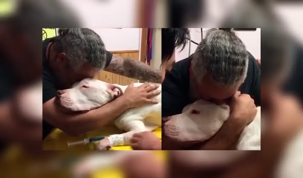 Video es viral en Facebook. El dueño del can rompió en llanto y protagonizó una conmovedora escena al darle el último adiós a su fiel perro que lo había acompañado por 14 años