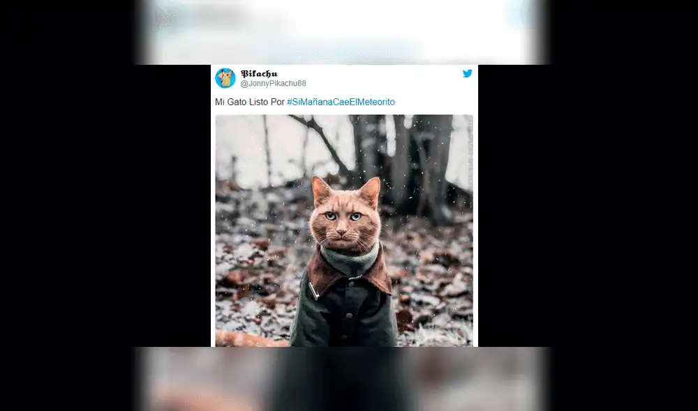 Memes por el paso cercano del meteorito F30. Foto:Twitter Memes por el paso cercano del meteorito F30. Foto:Twitter