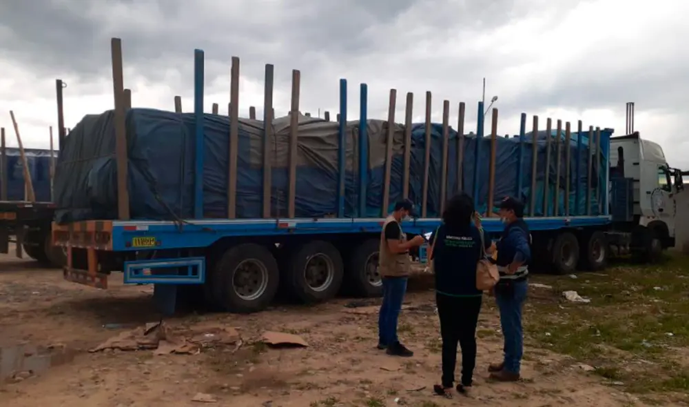 Inmovilizan madera en Loreto