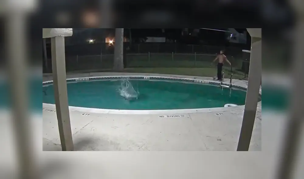 Maltrato animal para estados unidos Maltrato animal para estados unidos