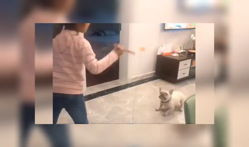 Desliza las imágenes para conocer el amoroso momento entre una niña junto a su adorable mascota. Foto: Captura. Desliza las imágenes para conocer el amoroso momento entre una niña junto a su adorable mascota. Foto: Captura.