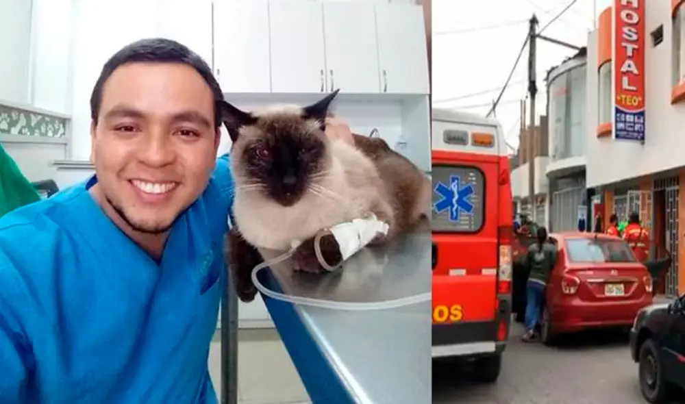 Arequipa: Investigarán a encargada de hostal donde hallaron muerto a veterinario