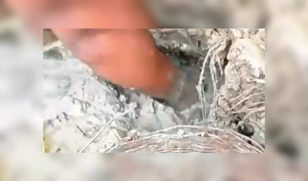 Facebook viral: descubre extraños peces tras introducir sus manos en fosa de lodo [VIDEO]