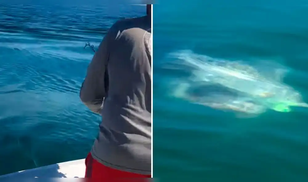 Facebook: familia entera es sorprendida tras aparición de bestia marina