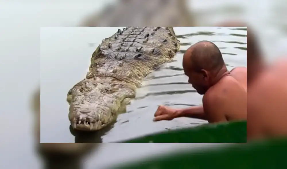 YouTube viral: valiente hombre intenta nadar junto a cocodrilo, sin imaginar la feroz reacción del depredador YouTube viral: valiente hombre intenta nadar junto a cocodrilo, sin imaginar la feroz reacción del depredador