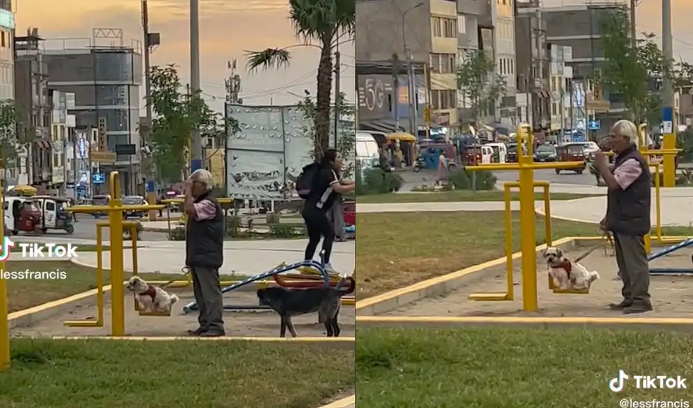 Este video ha superado los 25.000 'me gusta'. Foto: composición LR / TikTok / @lessfrancis