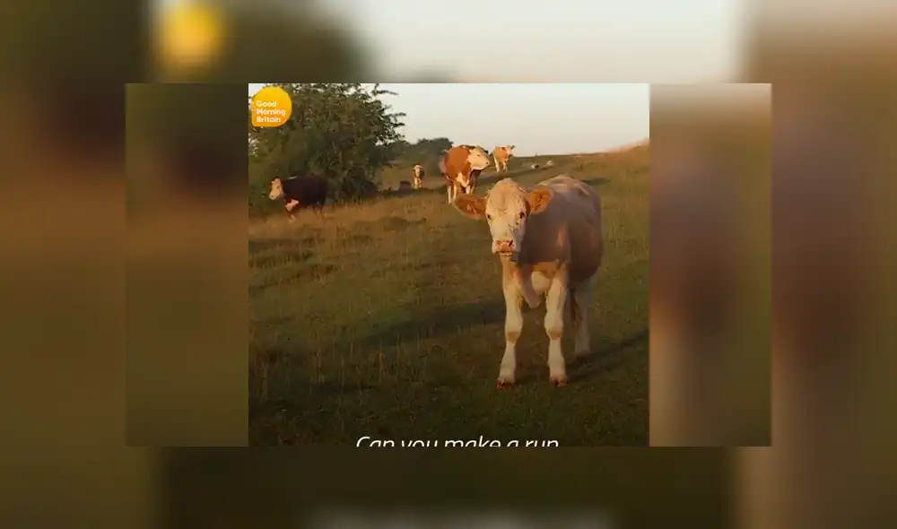 Desliza la imagen compartida en Facebook para verlas todas. Foto: Good Morning Britain Desliza la imagen compartida en Facebook para verlas todas. Foto: Good Morning Britain