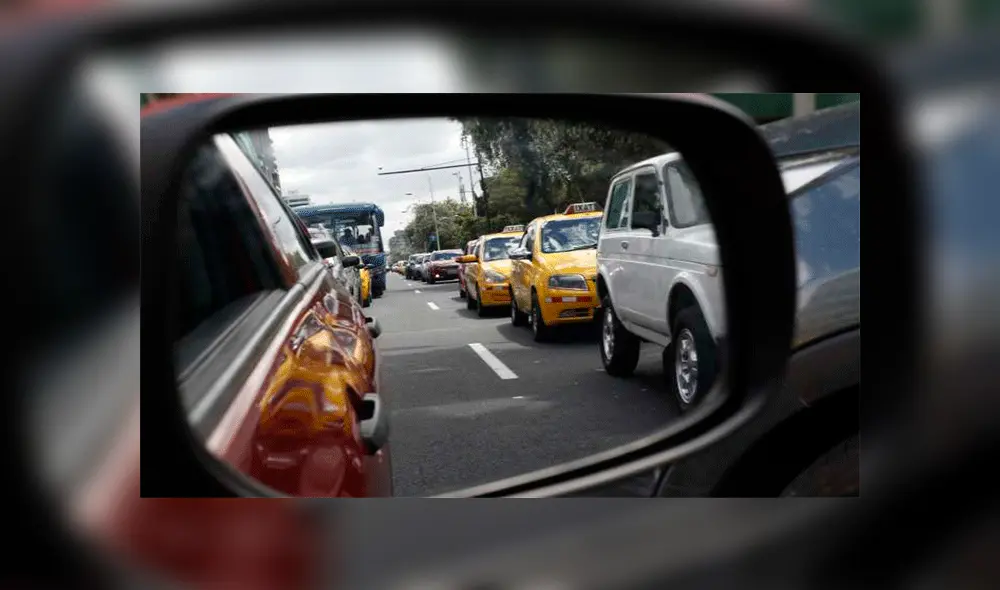 La publicación de YouTube ocasionó gran asombro a miles de internautas por la inesperada presencia del animal.