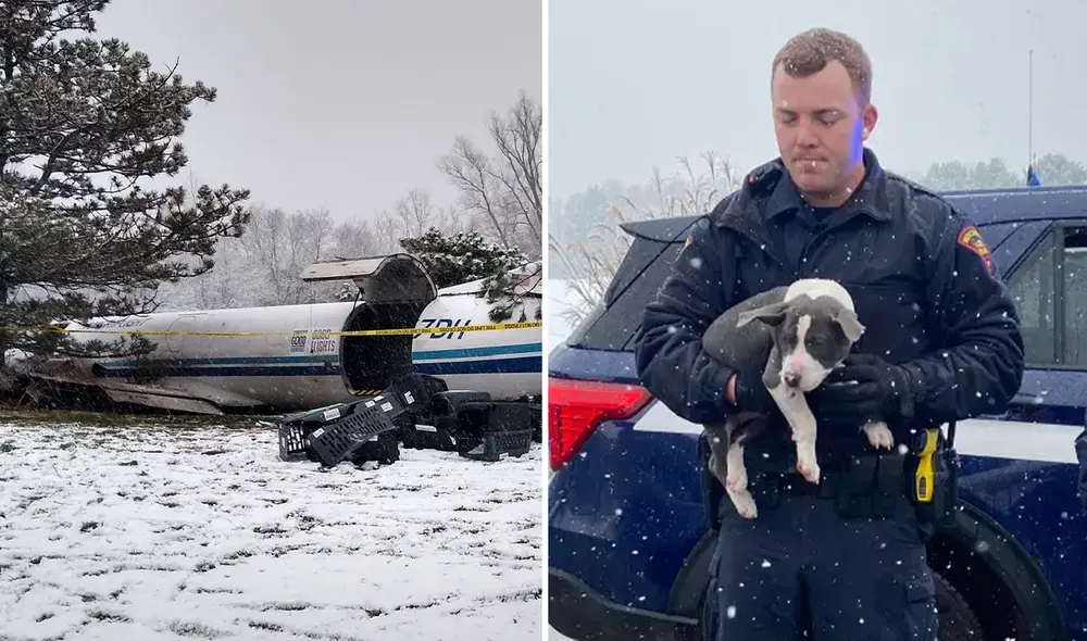 Perros a bordo de avión fueron rescatados por las autoridades de Wisconsin. Foto: composición LR/ HAWS Perros a bordo de avión fueron rescatados por las autoridades de Wisconsin. Foto: composición LR/ HAWS