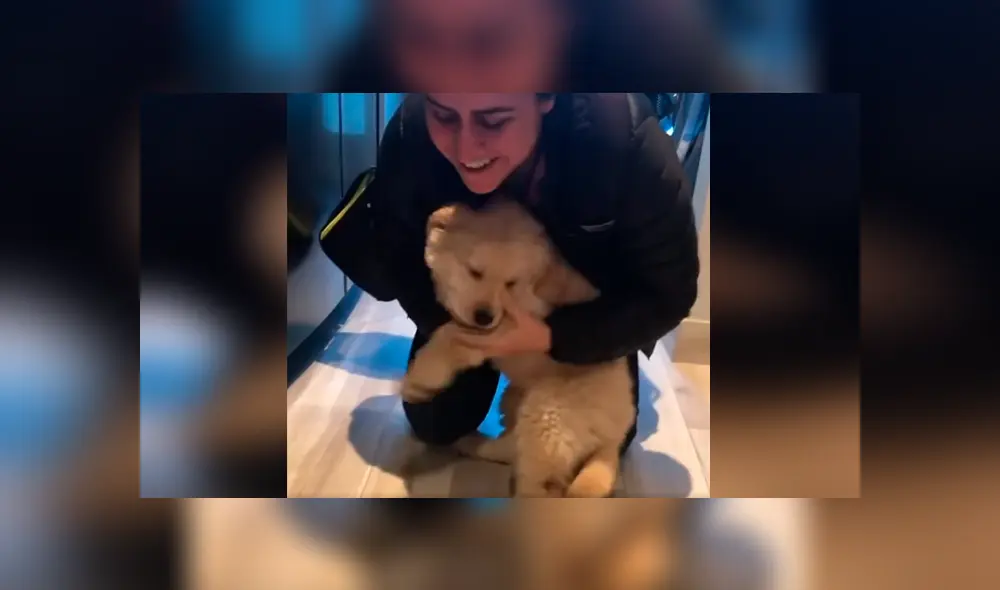 Desliza las imágenes hacia la izquierda para apreciar la emotiva escena de un perro junto a su dueña. Foto: Captura. Desliza las imágenes hacia la izquierda para apreciar la emotiva escena de un perro junto a su dueña. Foto: Captura.