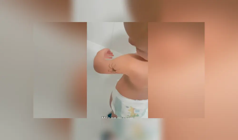 Facebook viral: bebé descubre que enorme araña caminaba por su brazo y tiene insólita reacción Facebook viral: bebé descubre que enorme araña caminaba por su brazo y tiene insólita reacción