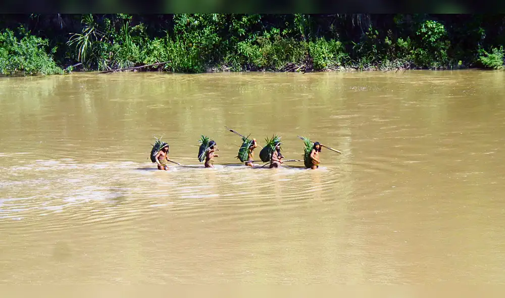 Los pueblos, bosques y especies que peligran por una ley del Congreso Los pueblos, bosques y especies que peligran por una ley del Congreso