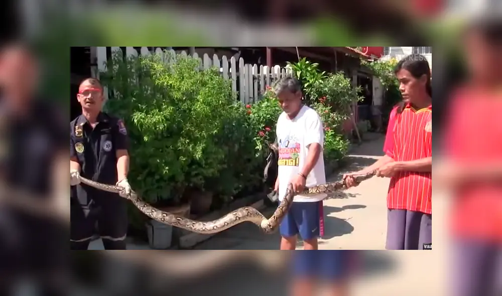 Desliza para ver a la criatura que encontró un mecánico en el interior de un carro. Desliza para ver a la criatura que encontró un mecánico en el interior de un carro.
