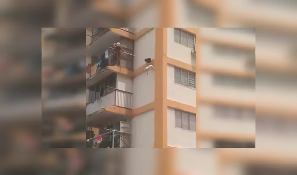 Residentes de un edificio de más de 10 pisos se han ganado los aplausos de varios internautas, tras ayudar a bomberos en el rescate de un indefenso felino Residentes de un edificio de más de 10 pisos se han ganado los aplausos de varios internautas, tras ayudar a bomberos en el rescate de un indefenso felino