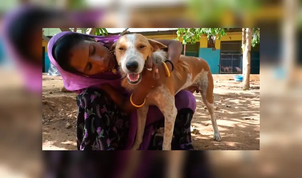 Desliza hacia la izquierda para ver la evolución del perro callejero que fue hallado en deplorables condiciones. El video se volvió viral en YouTube.