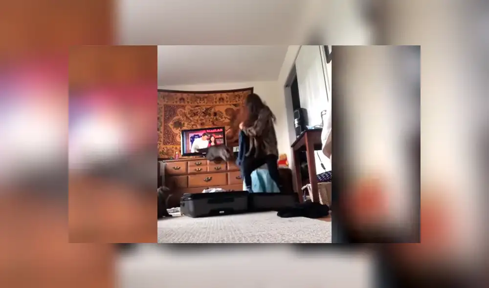 Youtube viral: Planea asustar a su novio con broma, pero su gato la ataca ferozmente y arruina su plan [VIDEO]