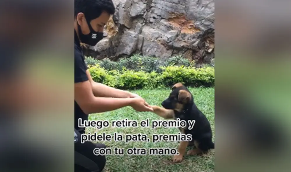 Desliza las imágenes para ver más detalles sobre este video que ha asombrado a miles de usuarios en redes sociales. Foto: captura de TikTok
