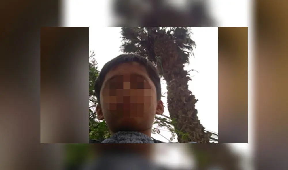 Niño rescata a gato de la calle y lo aloja en albergue que funciona en su casa [VIDEO]