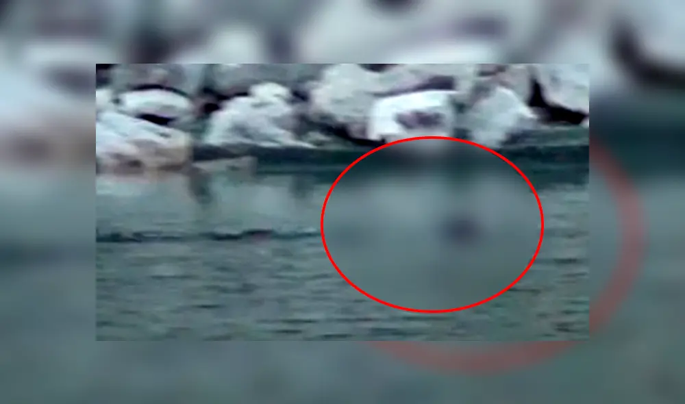 YouTube: ¿Captan dinosaurio con vida en Estados Unidos? Su aspecto sorprende a todos