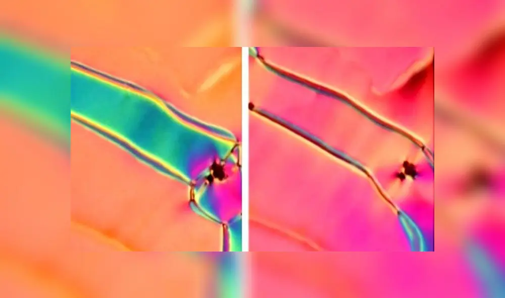 Una nueva fase de cristal líquido fue descubierta por investigadores de la Universidad de Colorado. Crédito: SMRC.