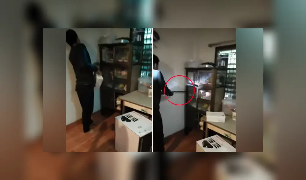 Un video viral de YouTube registró el instante en que un hombre fue atacado salvajemente por una venenosa criatura que extrajo de su armario. Un video viral de YouTube registró el instante en que un hombre fue atacado salvajemente por una venenosa criatura que extrajo de su armario.