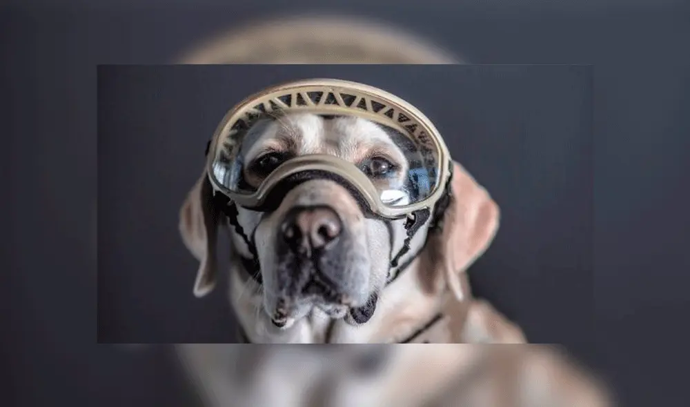 Frida. Foto: Santiago Arau