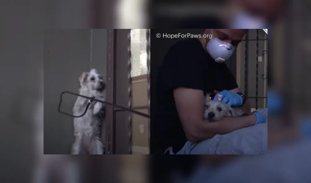 Desliza las imágenes para ver más detalles de esta escena que es viral en YouTube.